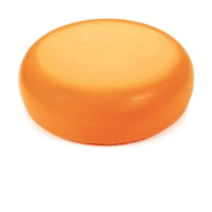 V550FFA0100_1.jpg