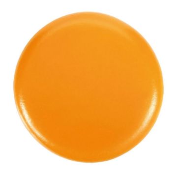 V550FFA0071_1.jpg